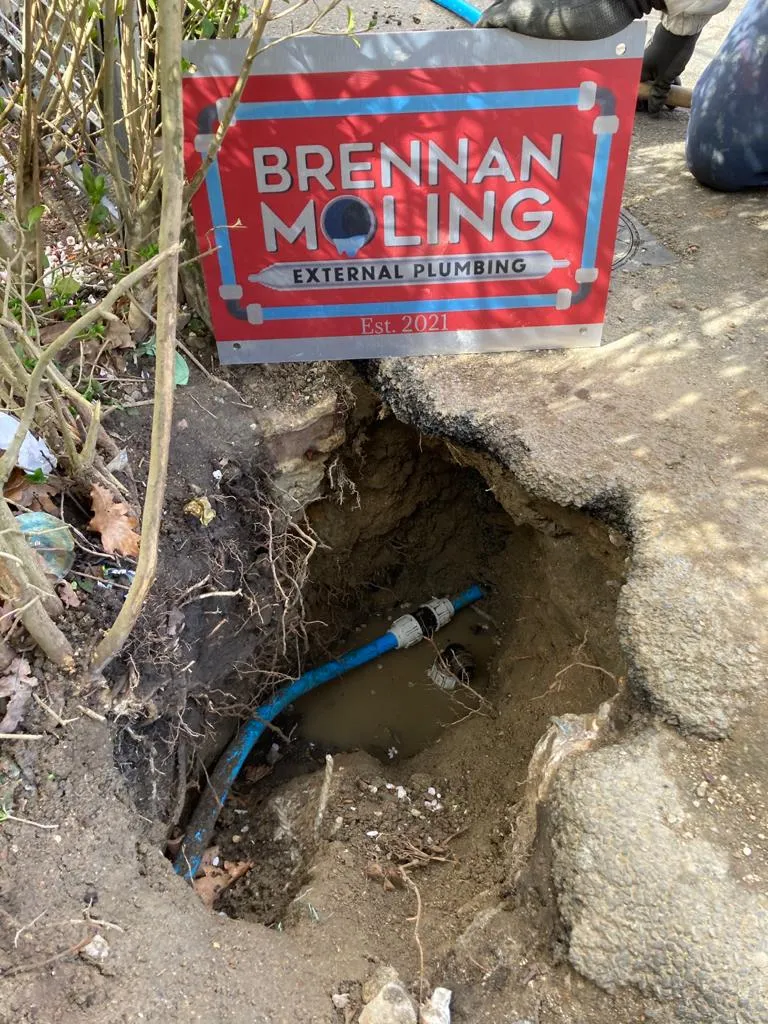 Brannan Moling Local Moling Experts